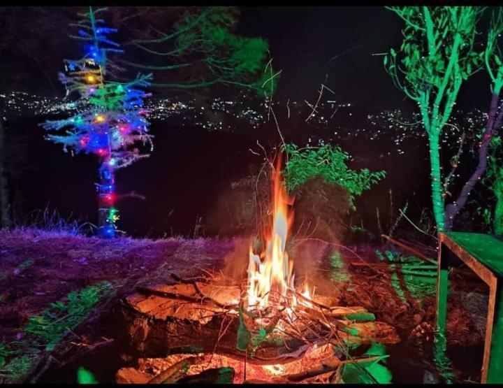 Apartmán Aagaman Woods Šimla Exteriér fotografie
